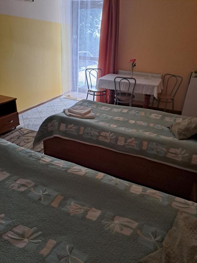 Hotelik Warmia -Pensjonat, Hostel Lidzbark Warmiński 外观 照片